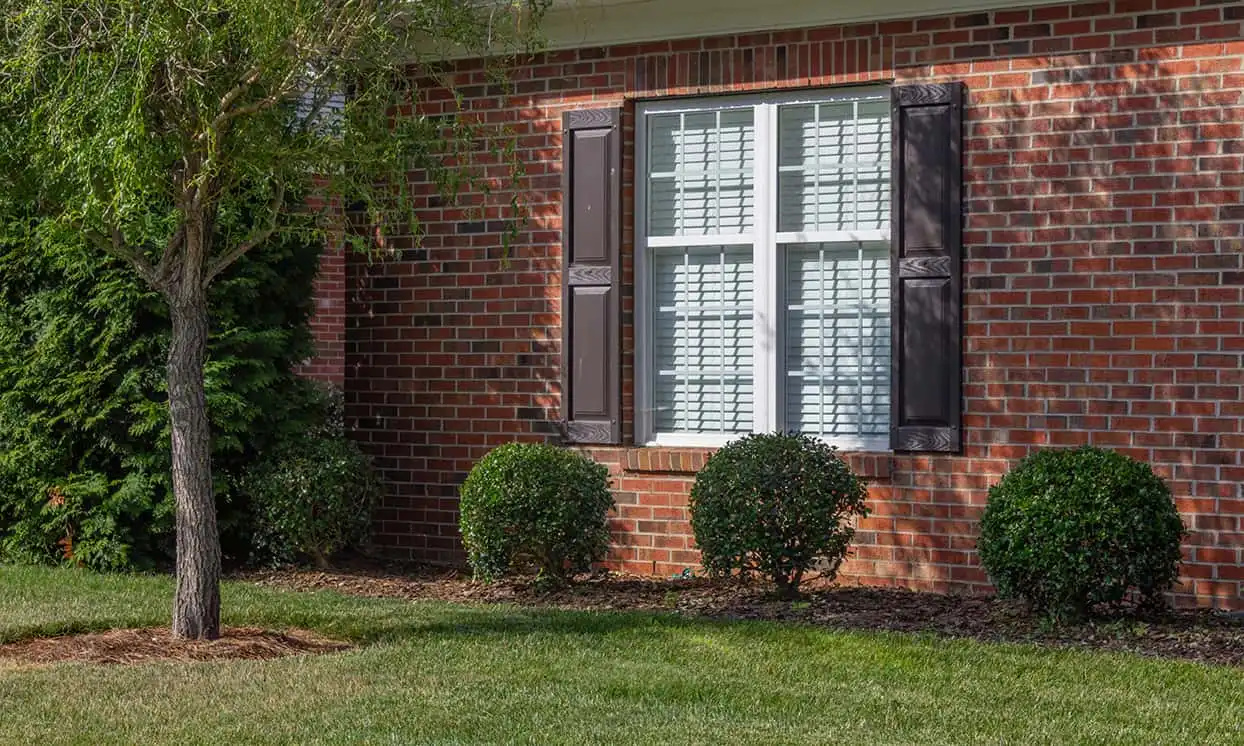Vinyl Window Shutters