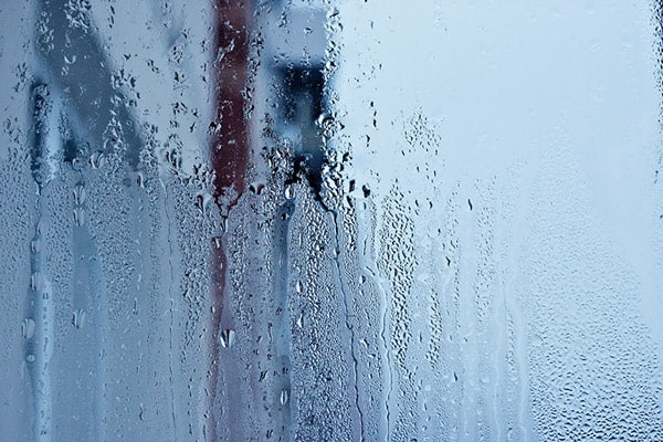 How to Lower Humidity in Your House Using These 6 Helpful Tips