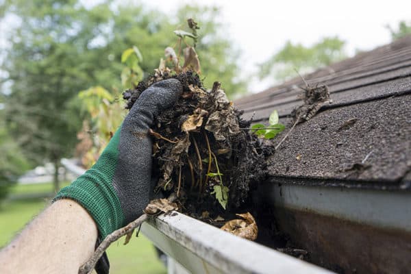 maintain gutters