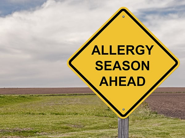 allergy prevention in the home