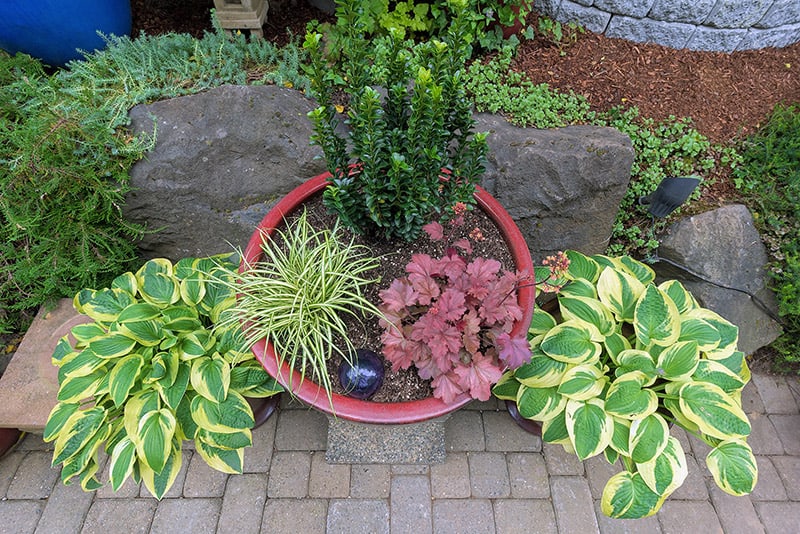 patio landscaping ideas