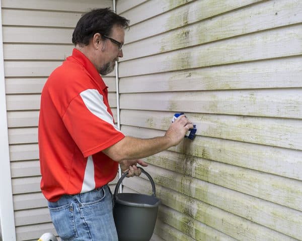 homeowner cleaning mold off siding