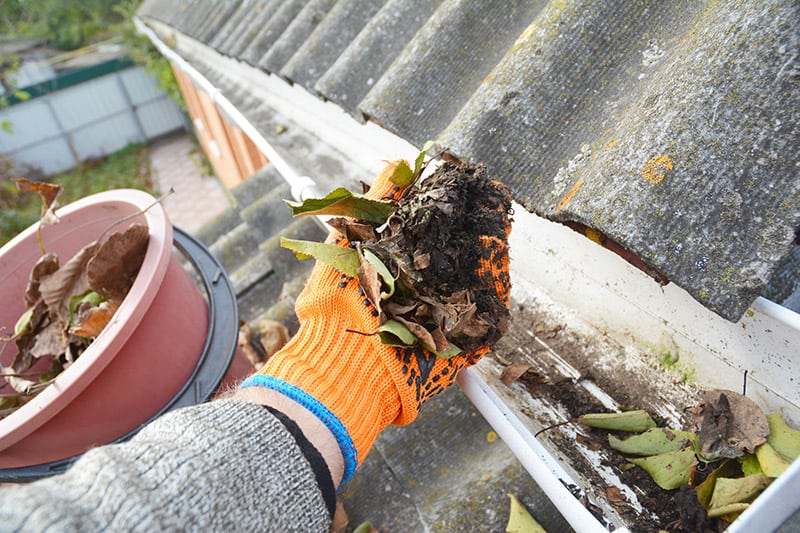  The Key Reason Why Gutter Repairs Clacton Is Better
