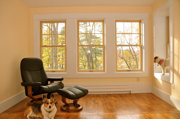 living room double hung windows