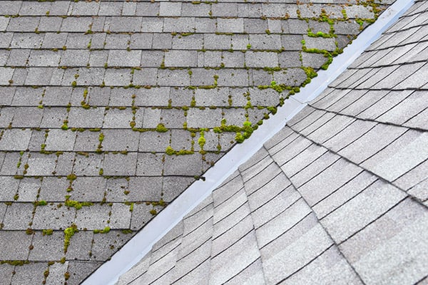 algae-and-black-streaks-on-a-roof