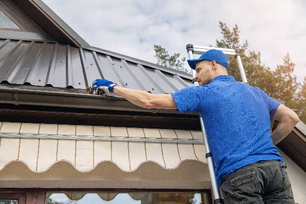 importance-of-gutter-cleaning
